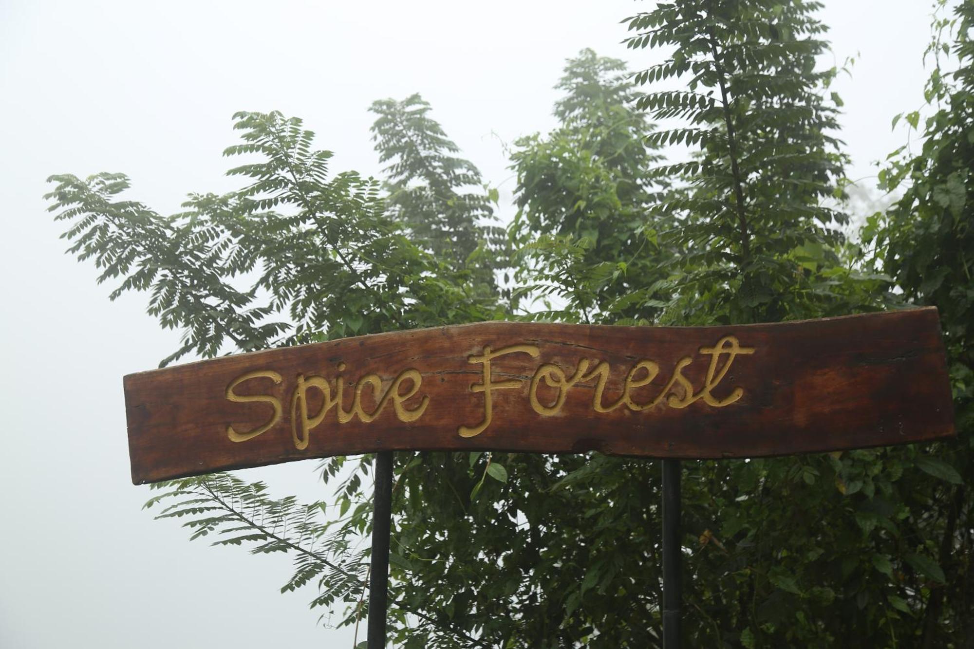 Spice Forest Plantation Homestay, Thekkady Vandiperiyār Esterno foto