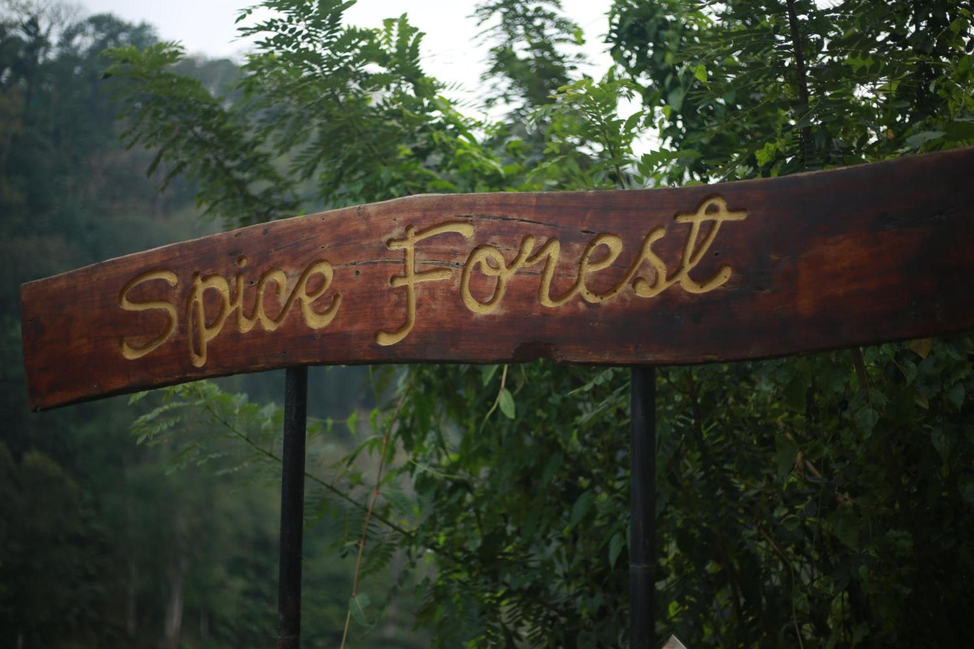 Spice Forest Plantation Homestay, Thekkady Vandiperiyār Esterno foto